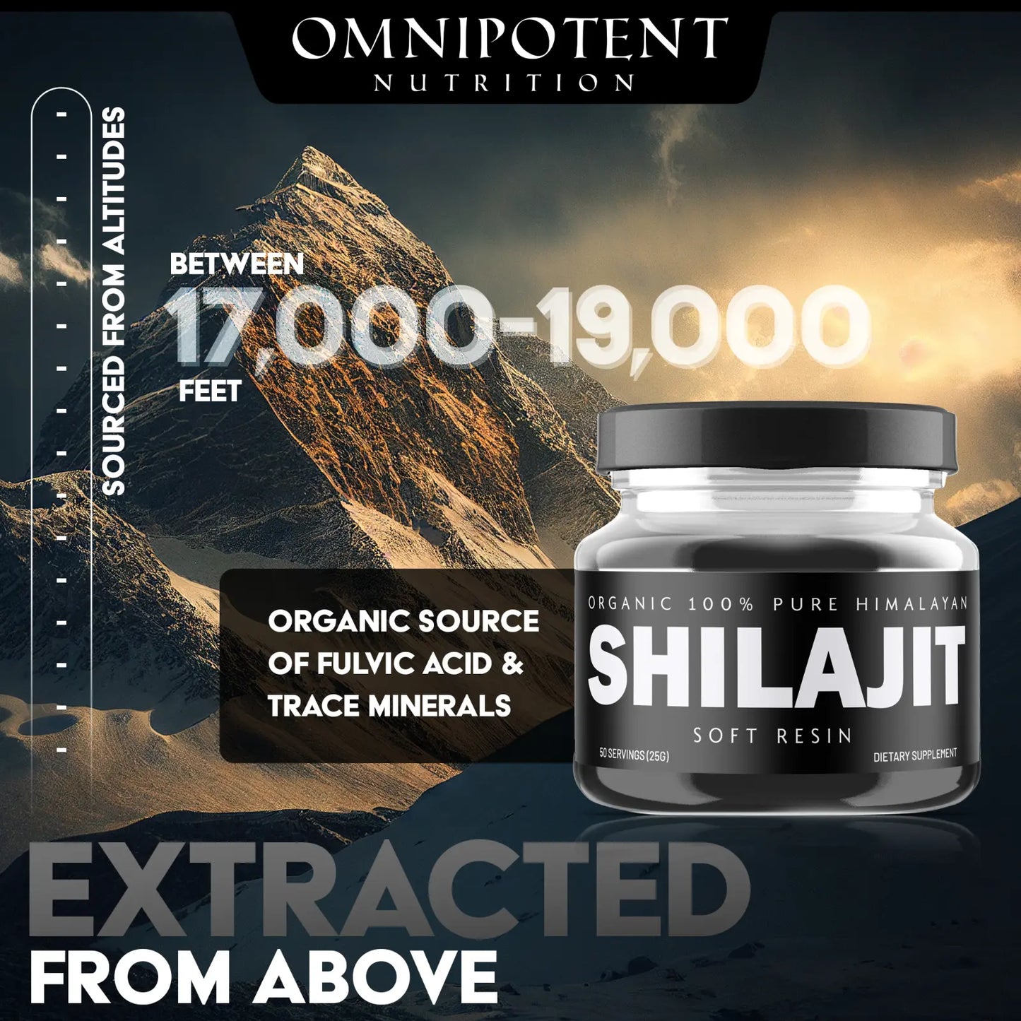 Shilajit Resin